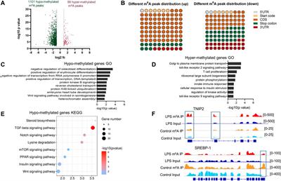 m6A mRNA Methylation Was Associated With Gene Expression and Lipid Metabolism in Liver of Broilers Under Lipopolysaccharide Stimulation